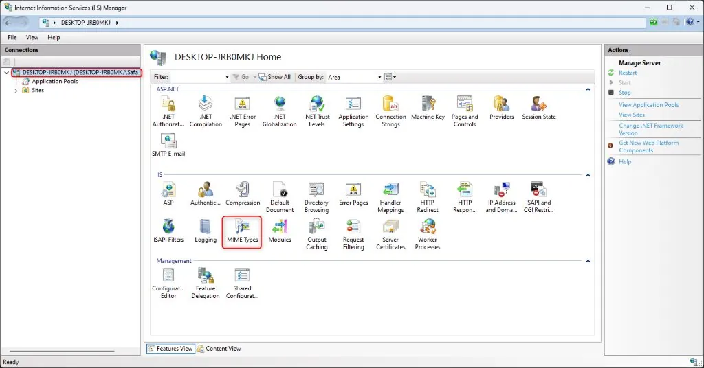 IIS Manager Home view with MIME Types feature icon