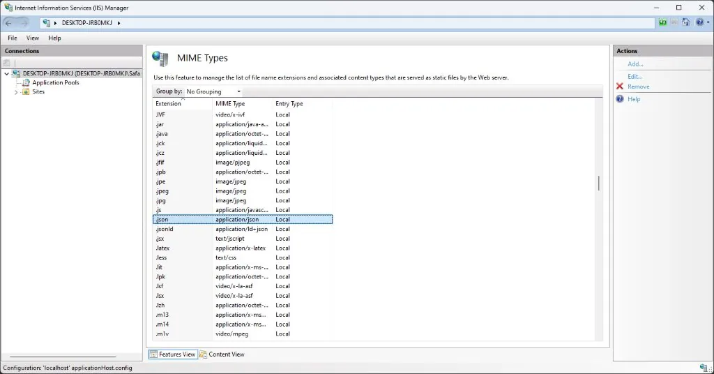 IIS MIME Types list showing svg and json entries